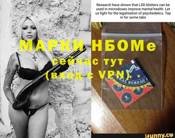 стафф Новокубанск