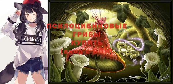 амф Нягань