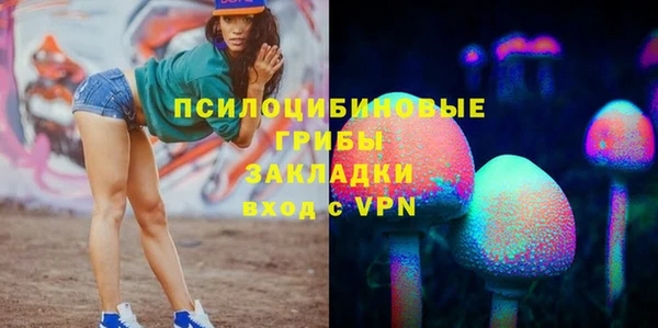 амф Няндома