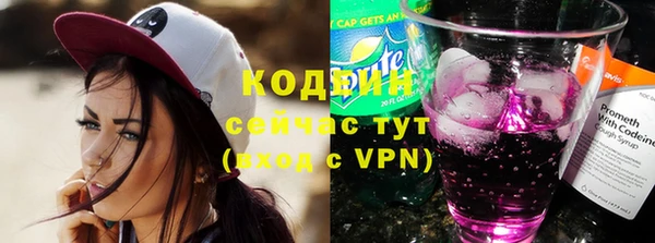 амф Няндома