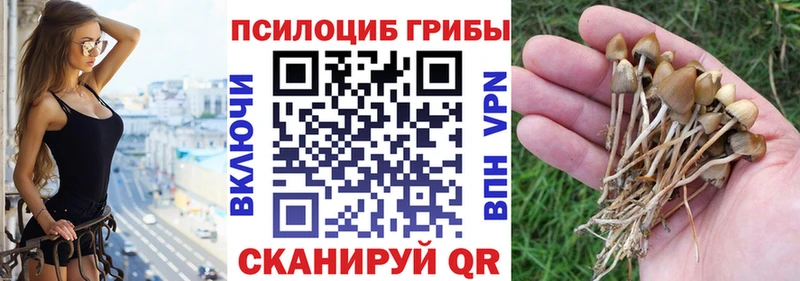 Галлюциногенные грибы мухоморы  Николаевск 